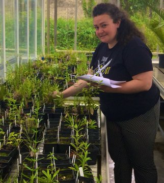 A person looking at plants in Rosemount